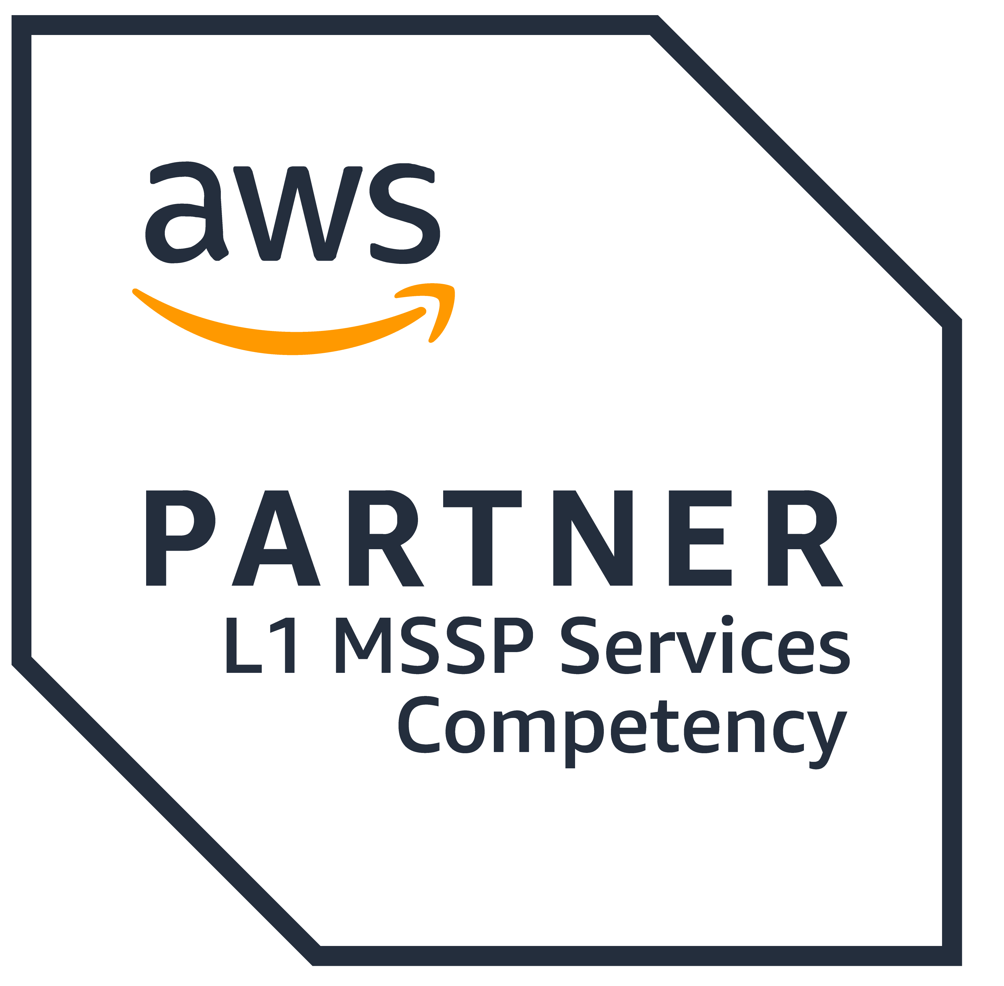 AWS L1 MSSP